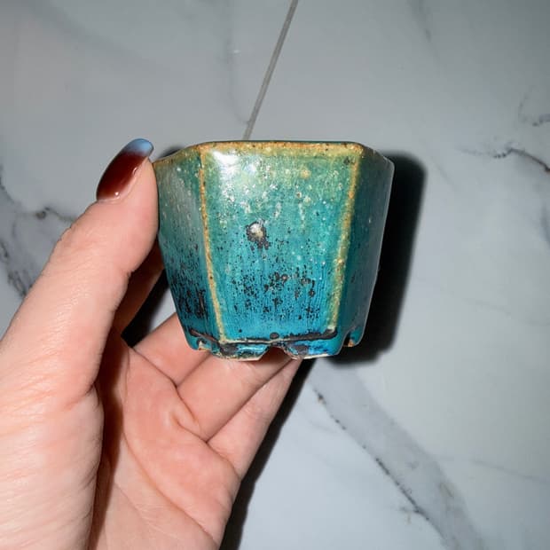 국산-동원분 6cm x 4cm