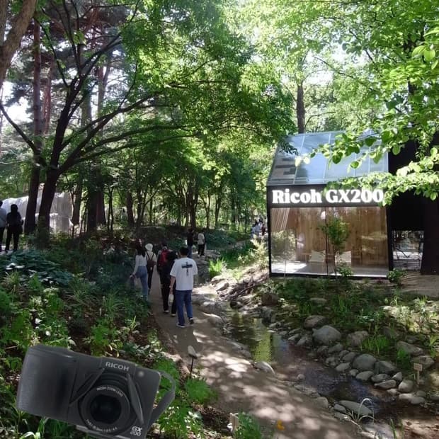리코 Gx200 (서울숲 작례 O)