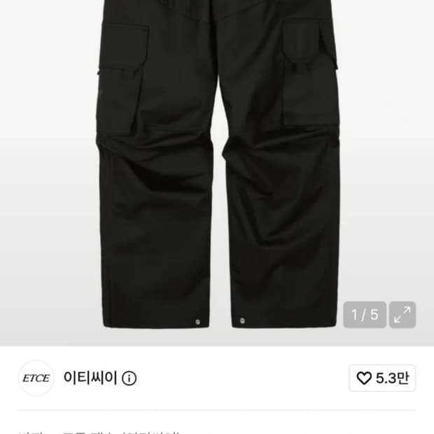 이티씨이 랩터 카고팬츠