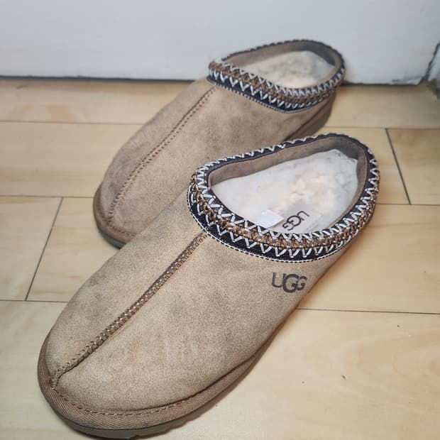 (255) 어그 타스만