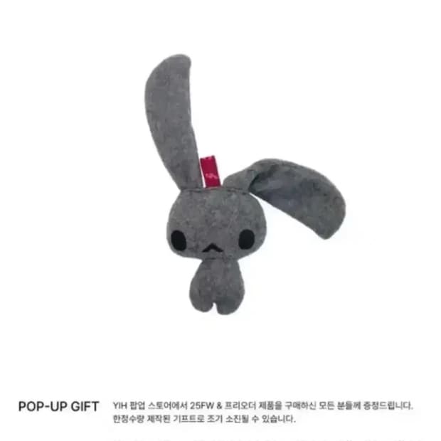 인앤양인하모니 토끼