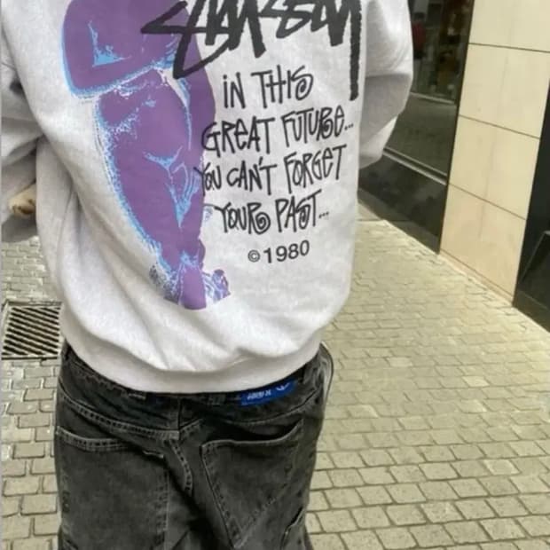 스투시 그레이트 퓨처 후드 애쉬 헤더