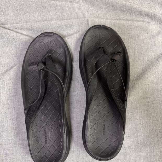 [280] nonnative PWANI 쪼리