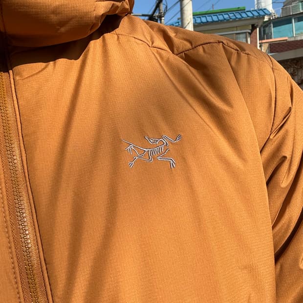 Arc'teryx Atom Heavyweight Hoodie