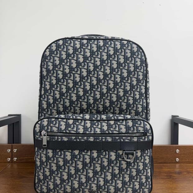 디올 사파리 백팩