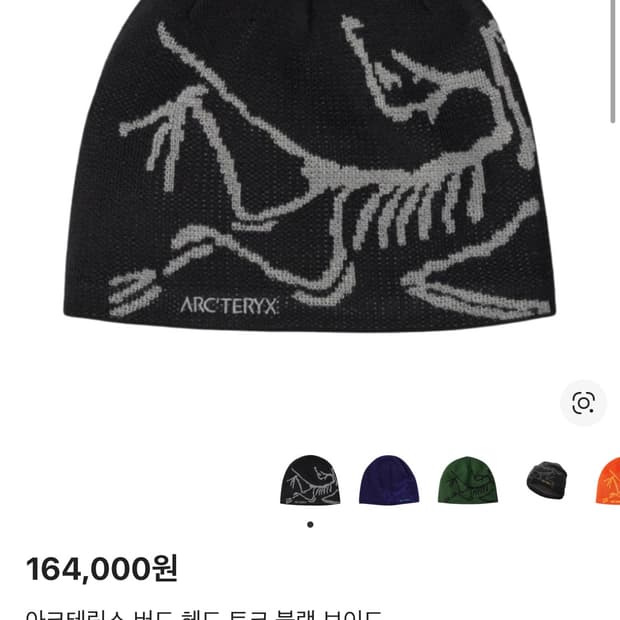 [1회 착용] 아크테릭스 비니 버드 헤드 토크 블랙 보이드 판매