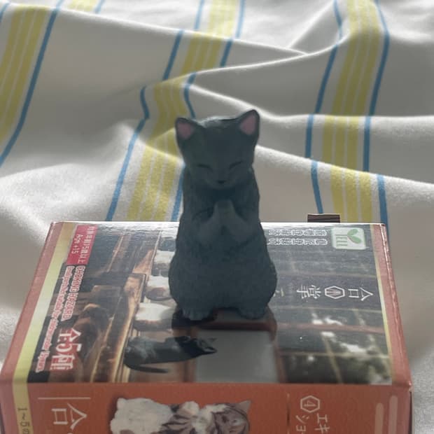 기도하는 고양이 피규어 무배