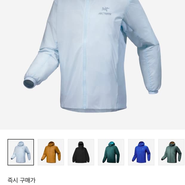 아크테릭스 아톰 후디