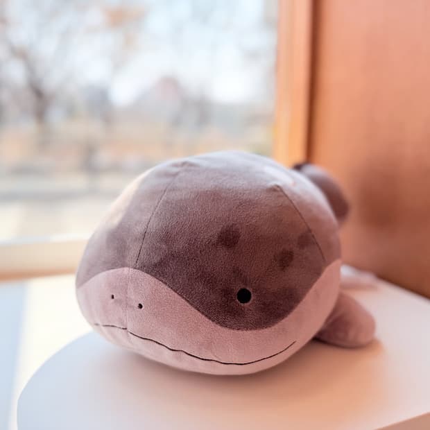 일본 반다이 포켓몬 토오 봉제인형 41cm