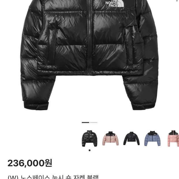 노스페이스 눕시 크롭 숏패딩