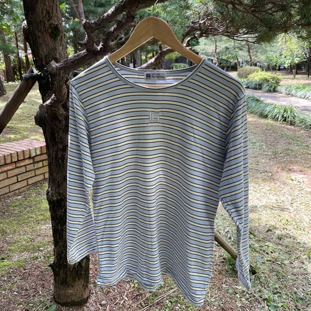 stripe t