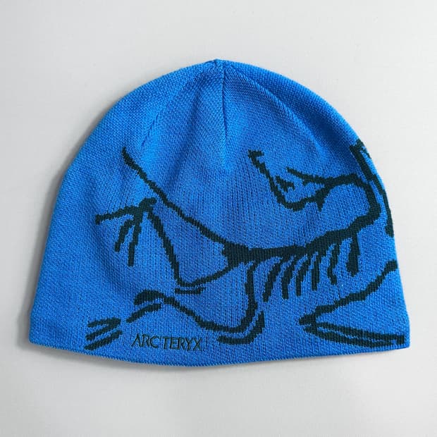 아크테릭스 FW22 버드 헤드 토크 플루이디티