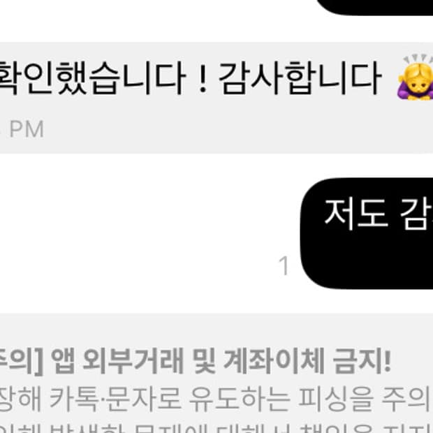 폴로 랄프로렌 빅포니 성조기 패딩