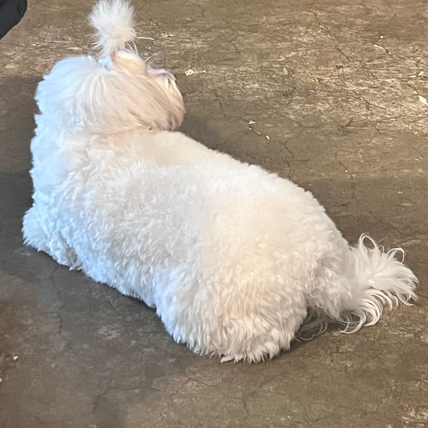 모든 제품 쿨거래시 더깎아드립니다