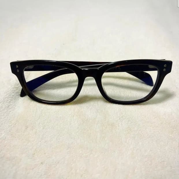 디타 로이스 엠버