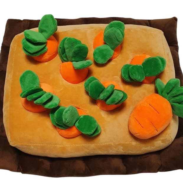 강아지 노즈워크 당근 장난감