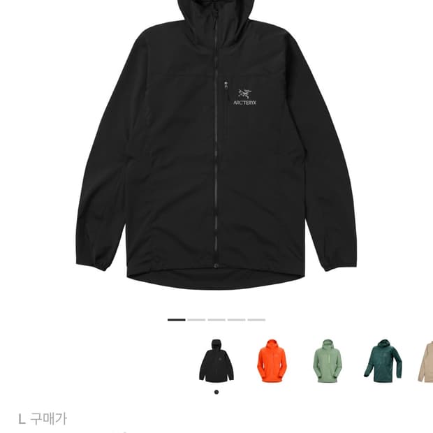 [L] 아크테릭스 스쿼미시 후디 블랙