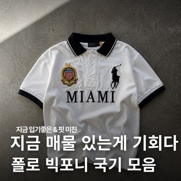 지금 매물 있는 게 기회다, 폴로 빅포니 국가라인 모음