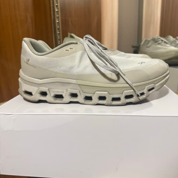 온러닝 파프 클라우드몬스터2 문더스트 295