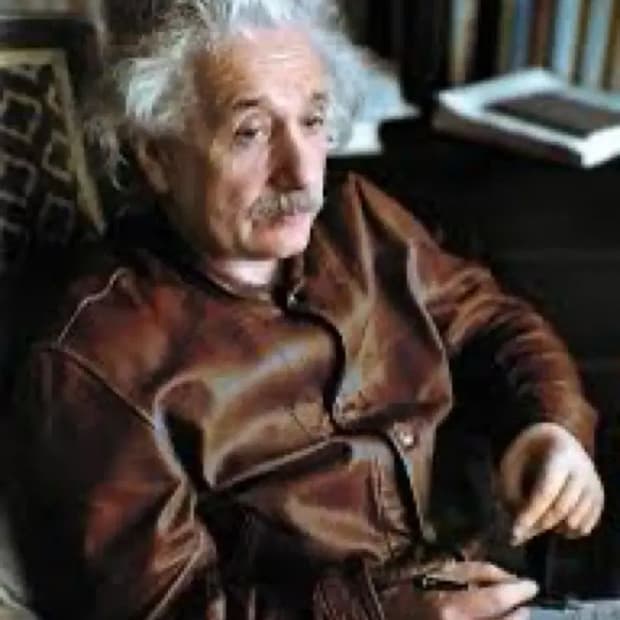 [L, XL]LVC 리바이스 아인슈타인 자켓 Menlo 