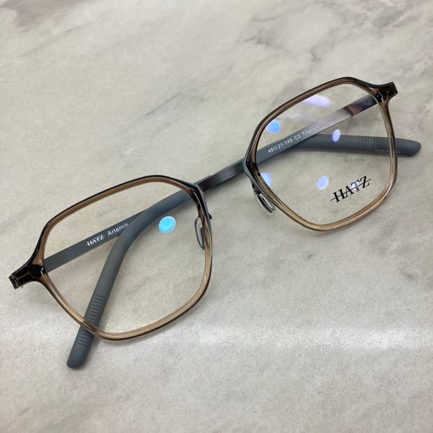 하츠 Hatz 차콜 클리어 투톤 솔텍스 웰링턴 메탈테 안경