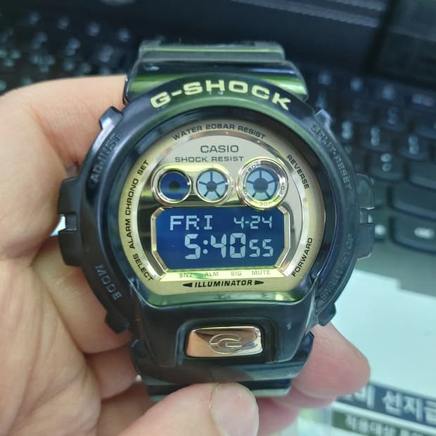 블랙/골드 조합이 매력적인 쥐샥