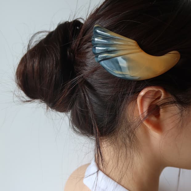 Horn hair clip