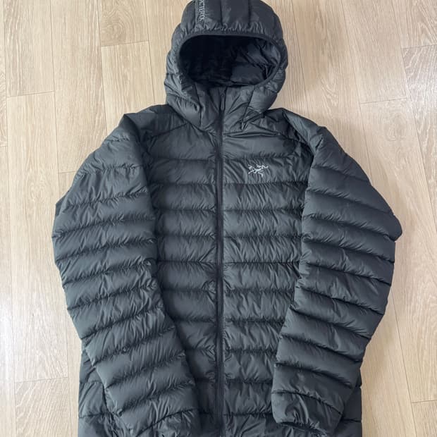 L 아크테릭스 세륨 후디 패딩 블랙