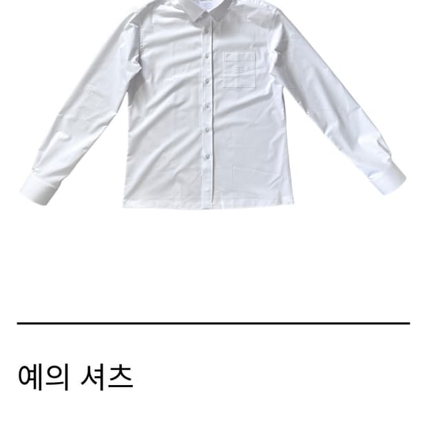 태호서울 예의셔츠 M