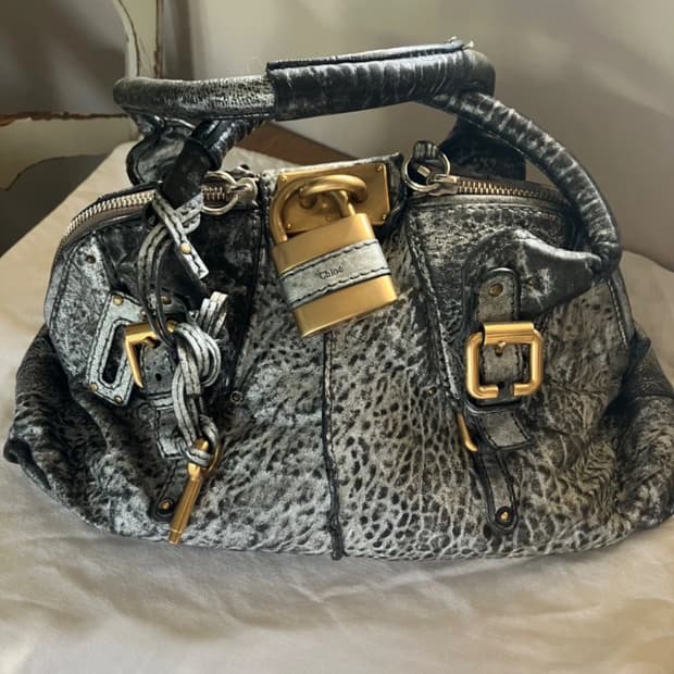 끌로에 패딩턴 그레이실버백