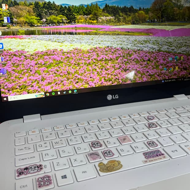LG 울트라 PC 15인치 기가 55밖에 안남음