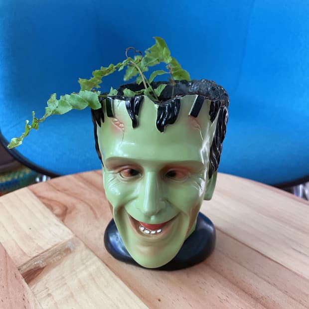 빈티지 프랑켄슈타인 화분