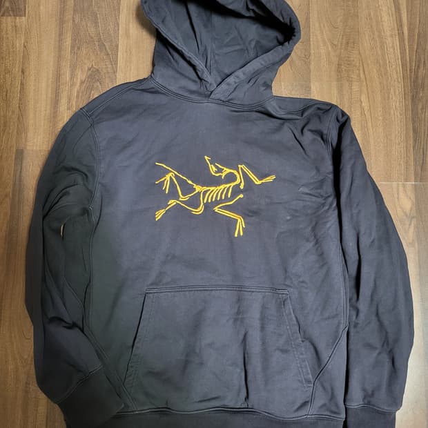 아크테릭스X팔라스 후드티