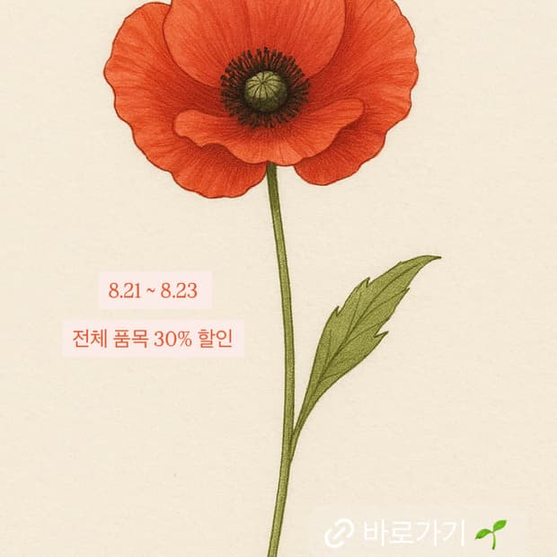 [8/21~23] 전품목 30% 할인