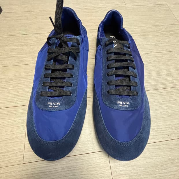 프라다 컬렙스 블루 (270)