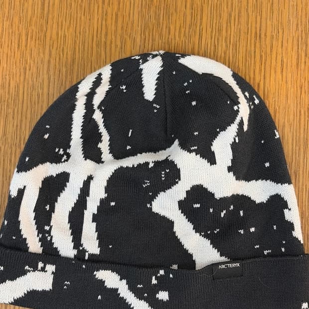 아크테릭스 비니 