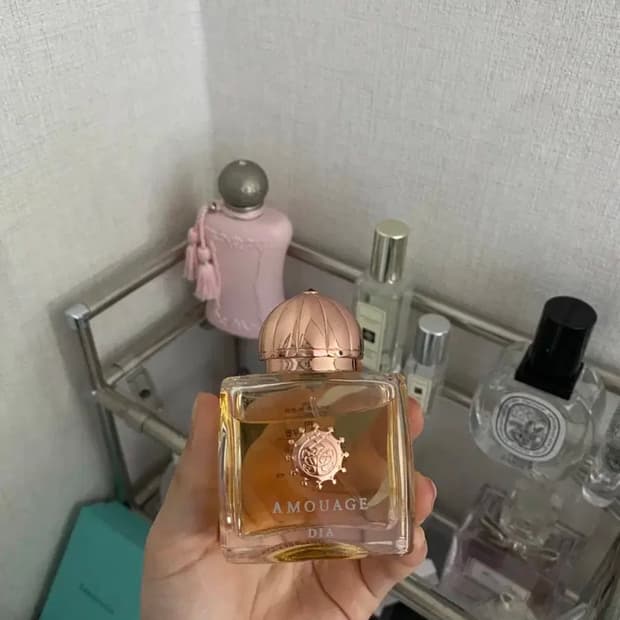 (마지막 택포가격)아무아쥬 디아 국문택 50ml 팝니다