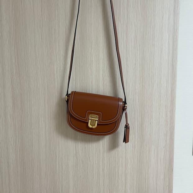 조이그라이슨 세렌디피티 브라운