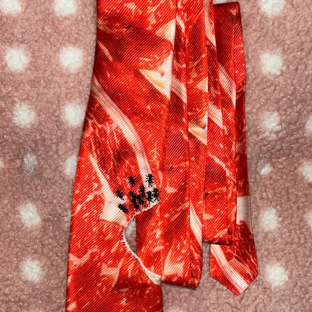 잡식성 개미 넥타이