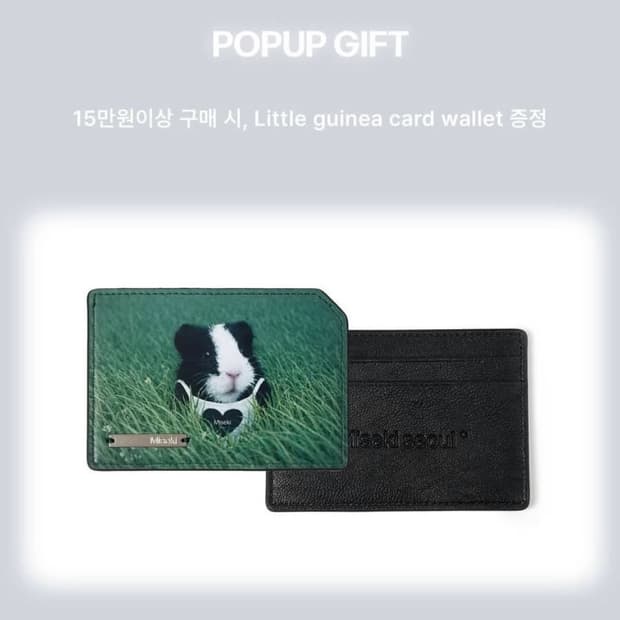 미세키서울 기니피그 카드지갑 