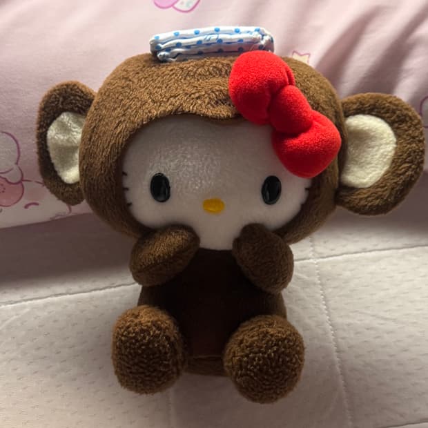 산리오 고전 온천 원숭이 헬로키티 인형 일본정품