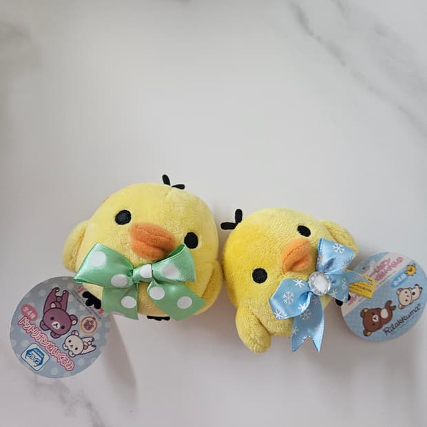 리본 트리오 키이토리