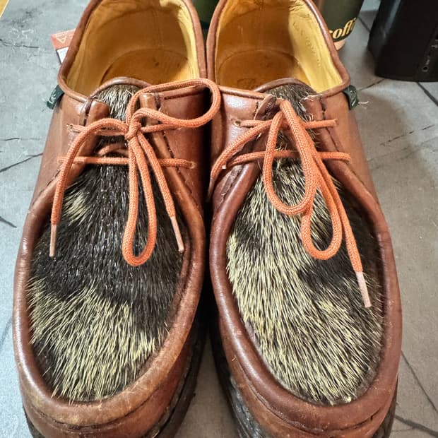 파라부트 미카엘 송치