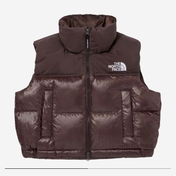 더 노스페이스 화이트 라벨 노벨티 눕시 다운 베스트 브라운 (W) XL
