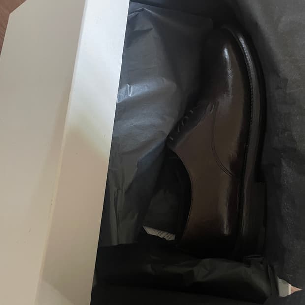 그라더스 블루처 08 브라운 250