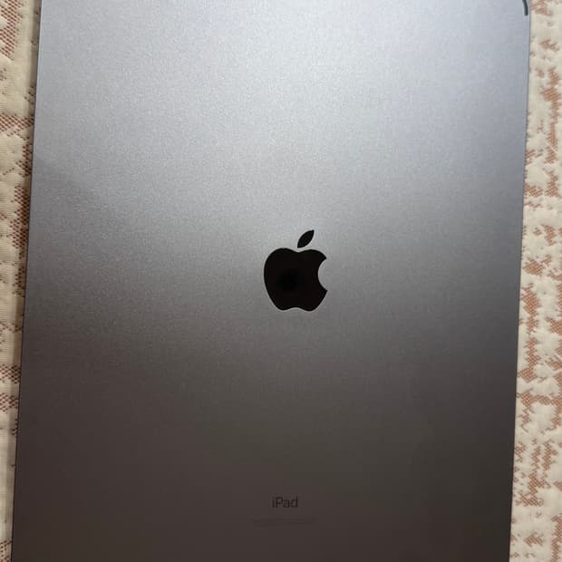 아이패드 프로 12.9인치 4세대 Wi-Fi, 256GB  스그