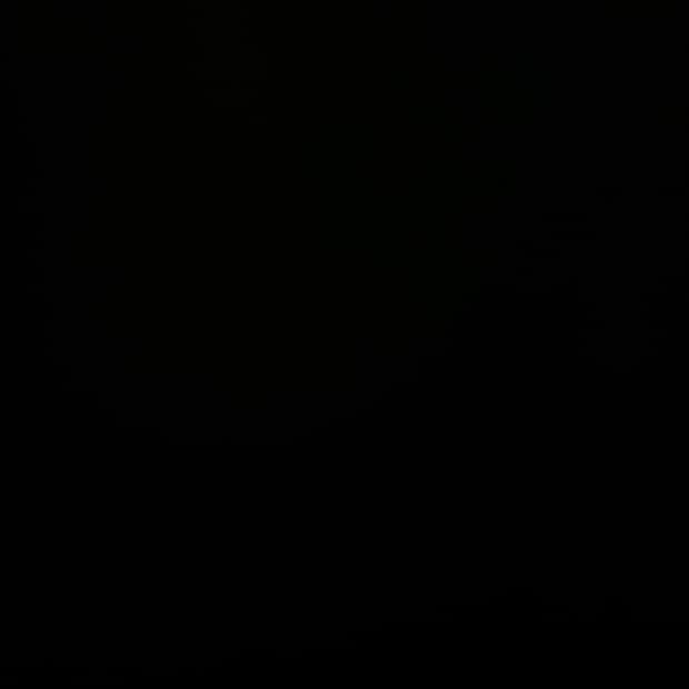 네이비 봄버 MA-1