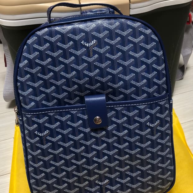 고야드미니백팩