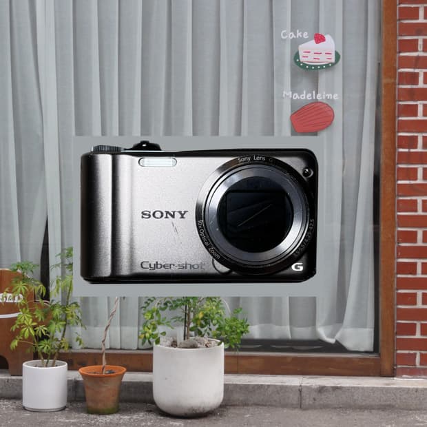 SONY 사이버샷 DSC-HX5