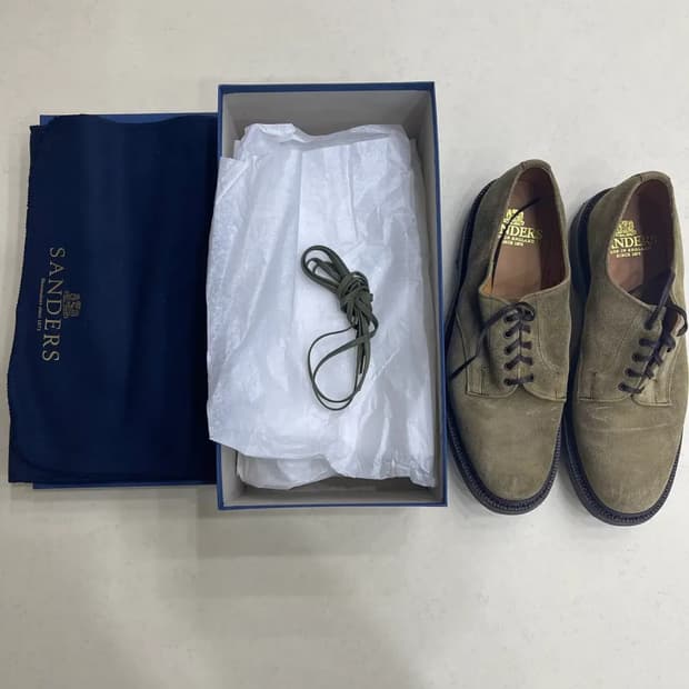 샌더스 플레인 토 더비